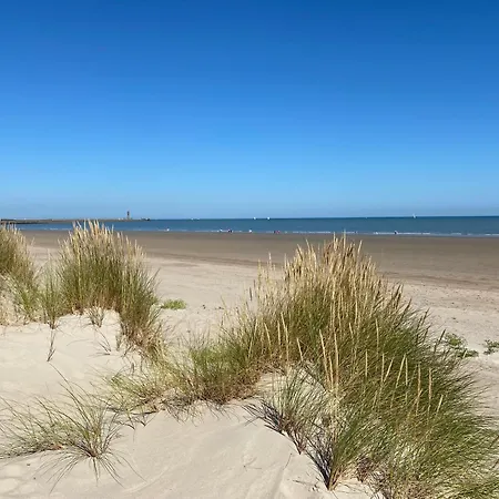 Beau Petit Malo Les Bains